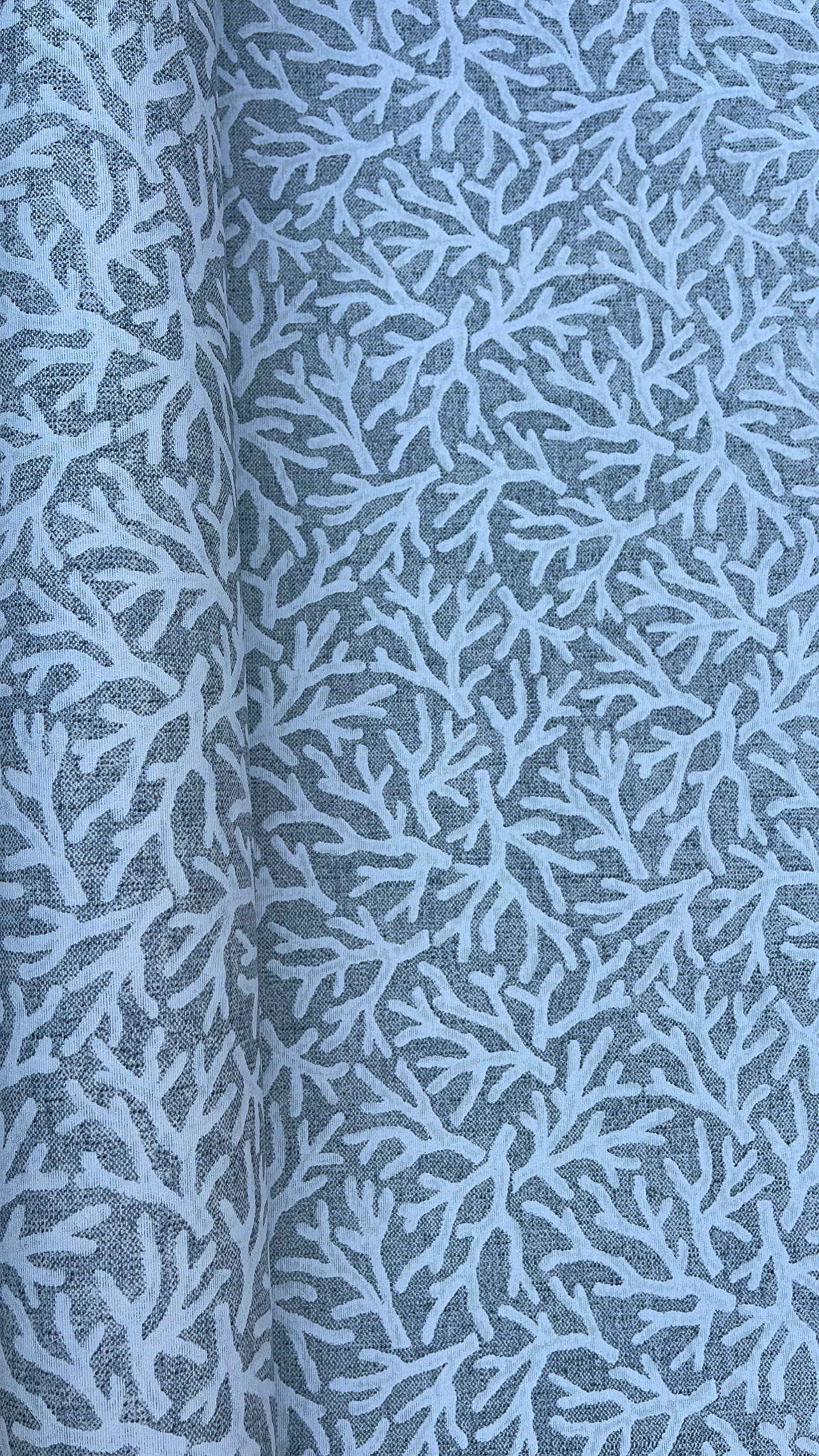 Algas - Algas Fondo Gris